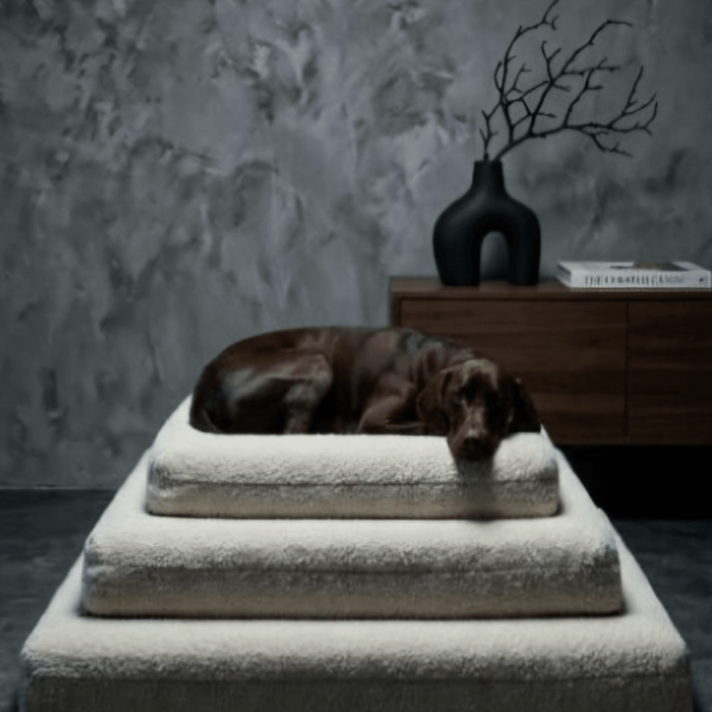 Willow & Wags™ Luxe Bouclé Orthopedisch Hondenkussen - Willow & Wags