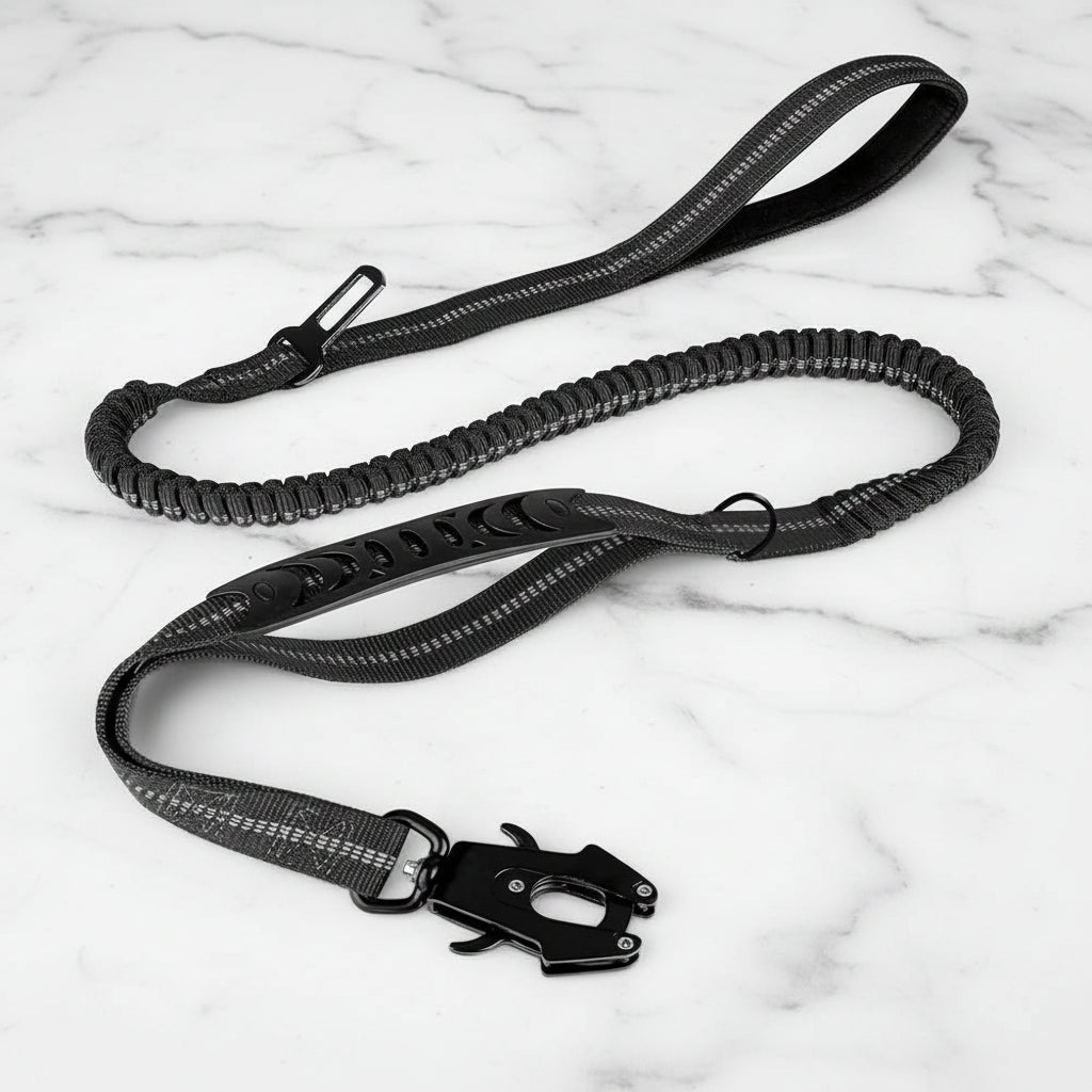 DriveControl™ 2-in-1 Hondenriem & Autogorde - Willow & Wags