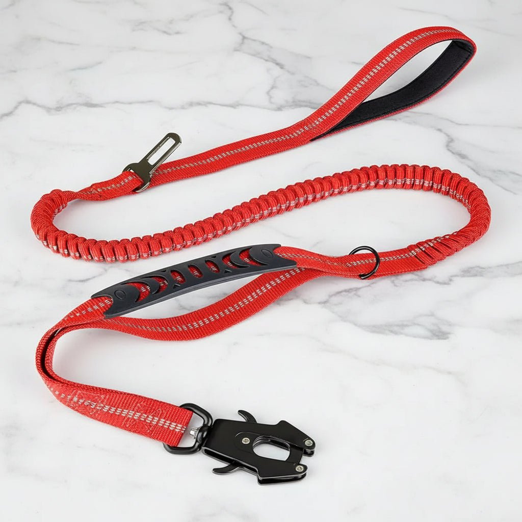 DriveControl™ 2-in-1 Hondenriem & Autogorde - Willow & Wags