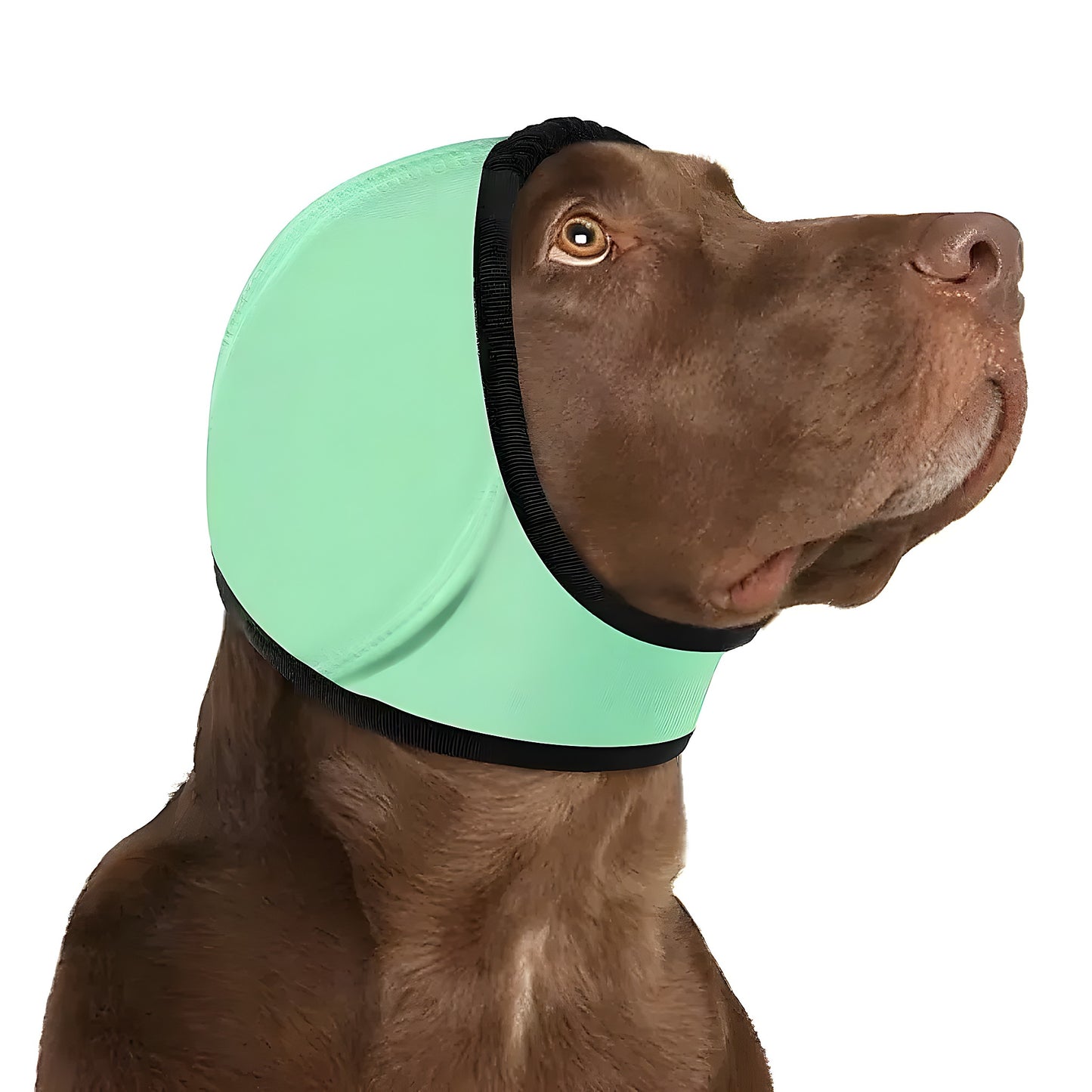 Honden Kalmerende Oorbeschermer - Willow & Wags