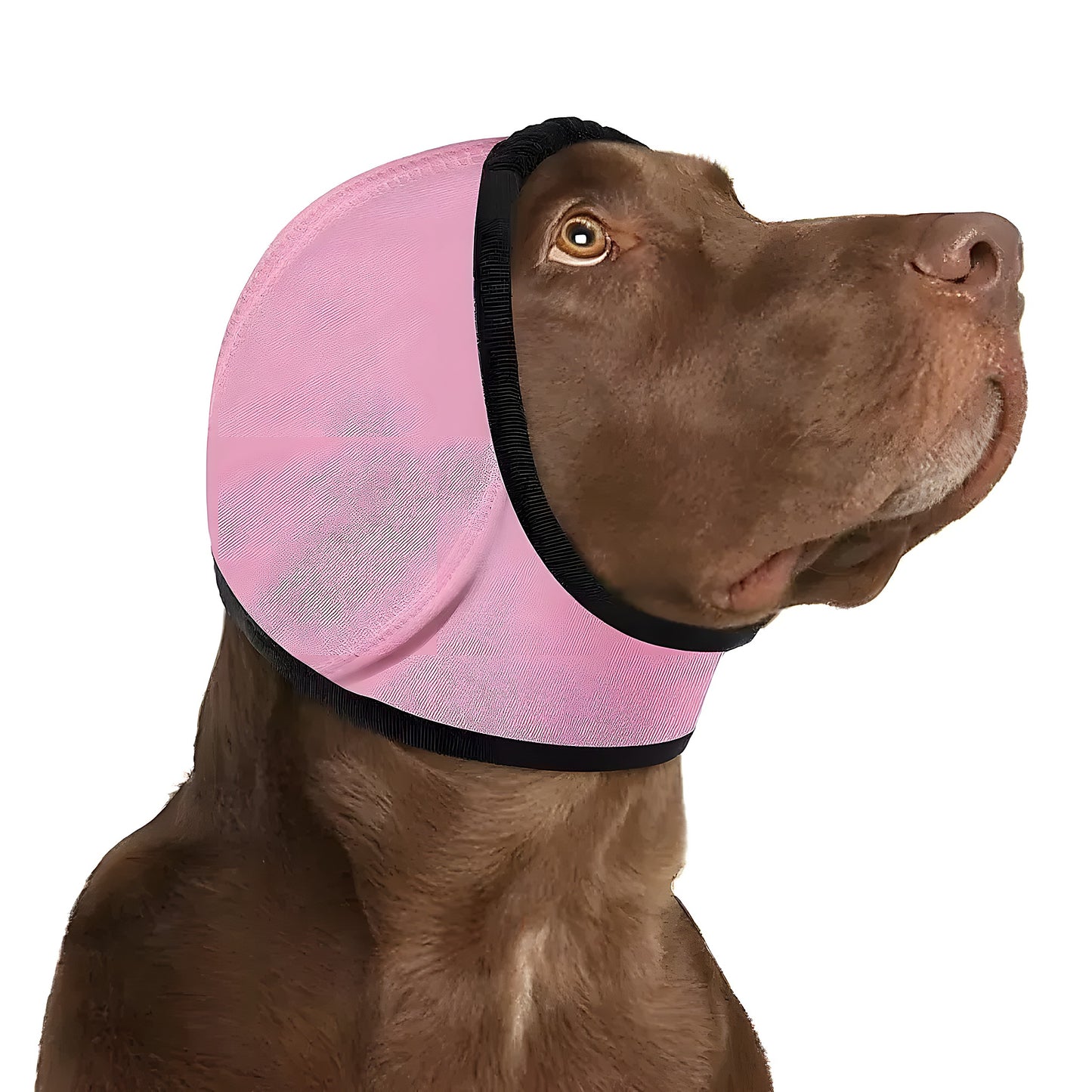 Honden Kalmerende Oorbeschermer - Willow & Wags