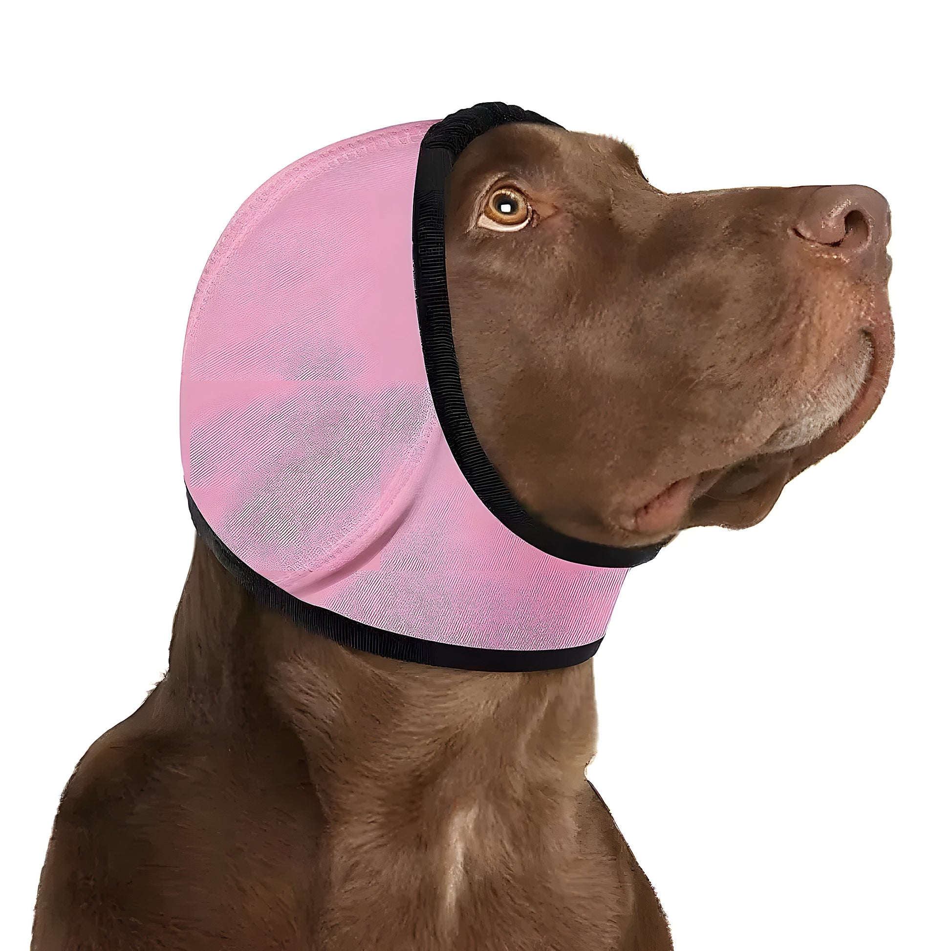 Honden Kalmerende Oorbeschermer - Willow & Wags