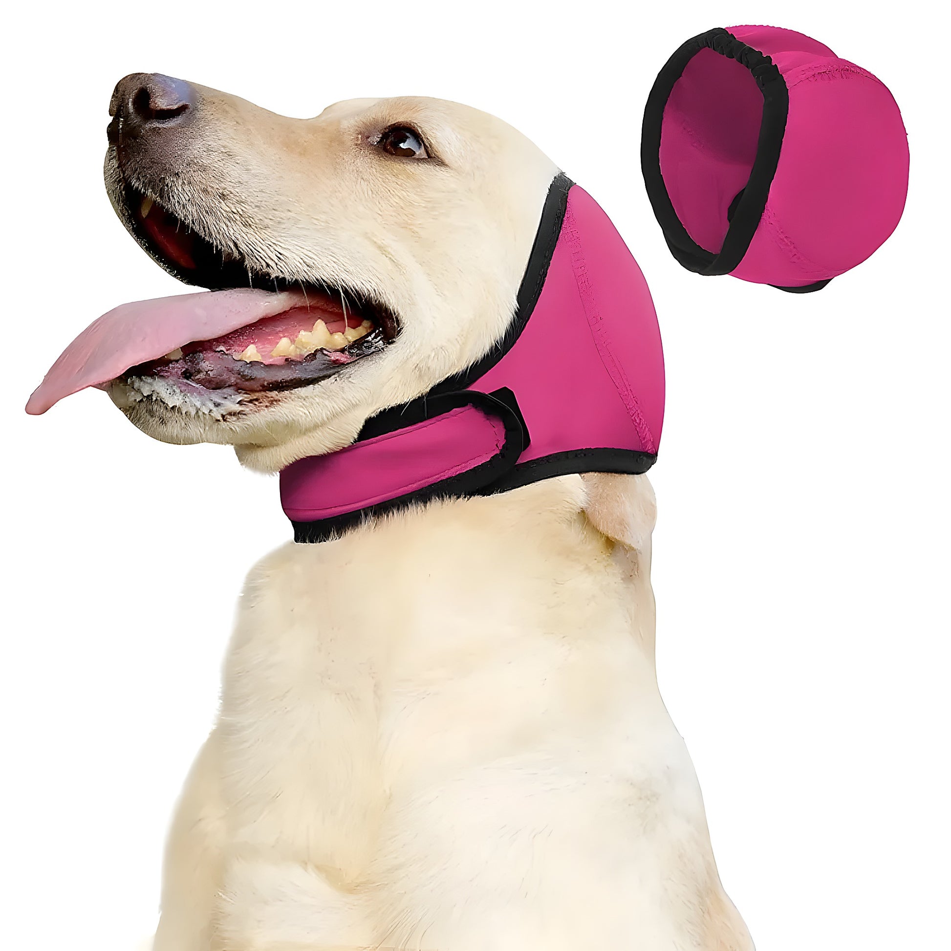 Honden Kalmerende Oorbeschermer - Willow & Wags
