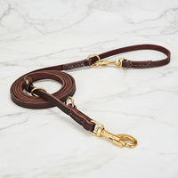 Bruin