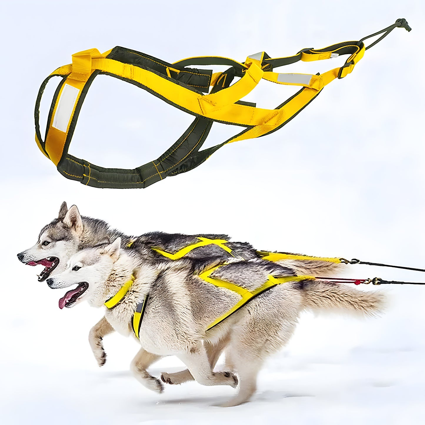 Nordic Adventure Hondenharnas voor Grote Honden - Willow & Wags