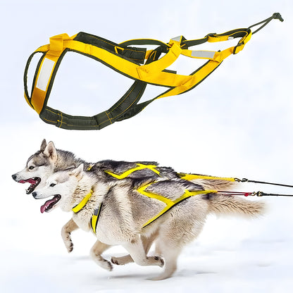 Nordic Adventure Hondenharnas voor Grote Honden - Willow & Wags