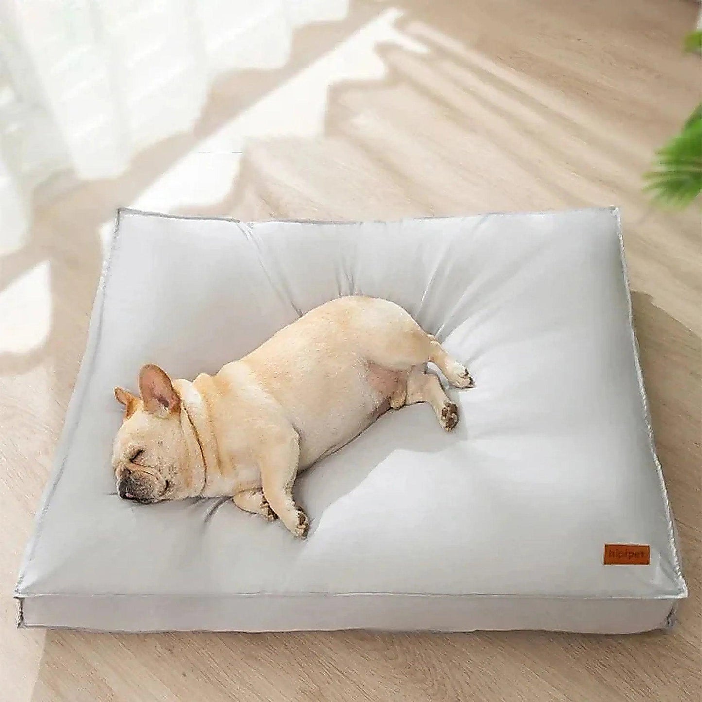 Comfort Hondenkussen met Traagschuim - Willow & Wags