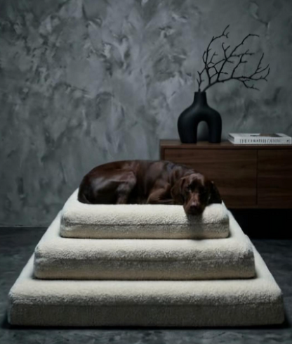 Luxury Bouclé Orthopedic Dog Bed