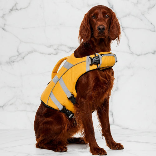 Honden Zwemvest met Drijfvermogen en Handvat - Willow & Wags