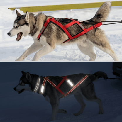 Nordic Adventure Hondenharnas voor Grote Honden - Willow & Wags
