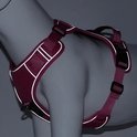 Reflecterend Hondentuig met Veilige AirTag Houder & Looplijn - Willow & Wags