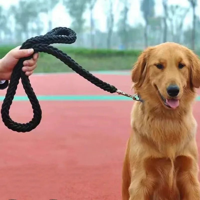 Sterke Nylon Hondenriem - Willow & Wags