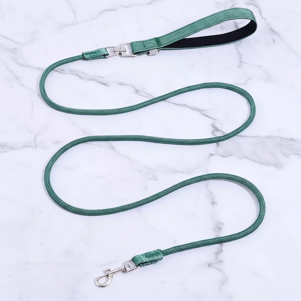 Hondenlijn van Nylon met Zachte Handgreep - Willow & Wags
