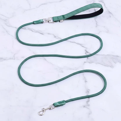 Hondenlijn van Nylon met Zachte Handgreep - Willow & Wags
