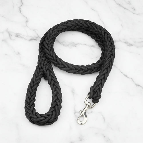 Sterke Nylon Hondenriem - Willow & Wags
