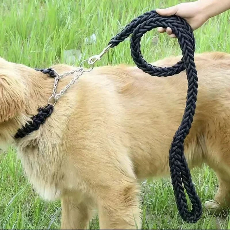 Sterke Nylon Hondenriem - Willow & Wags
