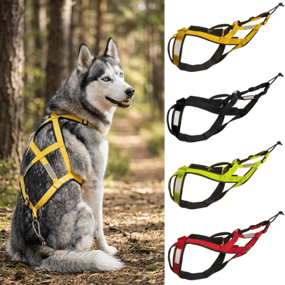 Nordic Adventure Hondenharnas voor Grote Honden - Willow & Wags