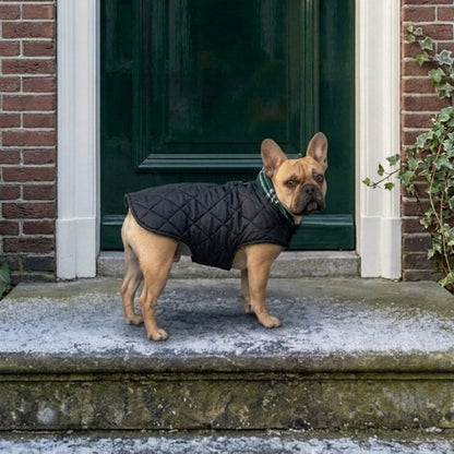 Omkeerbare Warme Hondenjas met Ruitpatroon