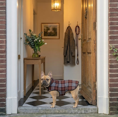 Omkeerbare Warme Hondenjas met Ruitpatroon