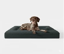 Luxury Bouclé Orthopedic Dog Bed