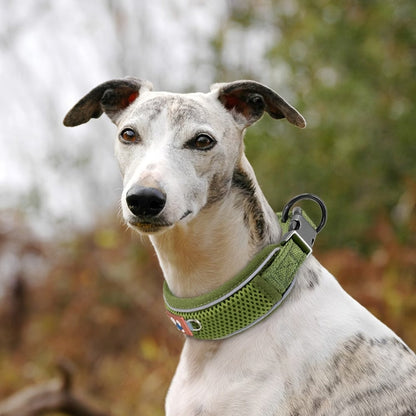 Reflecterende Hondenhalsband met Zachte Mesh Voering - Willow & Wags