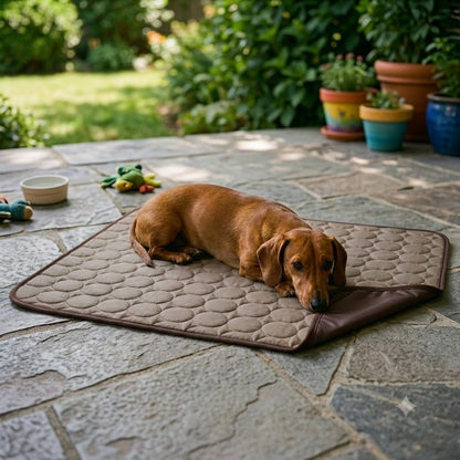Willow & Wags™ Verkoelende Hondenmat - Willow & Wags
