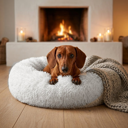 Teckel in wit donut hondenbed bij de open haard - Willow & Wags.