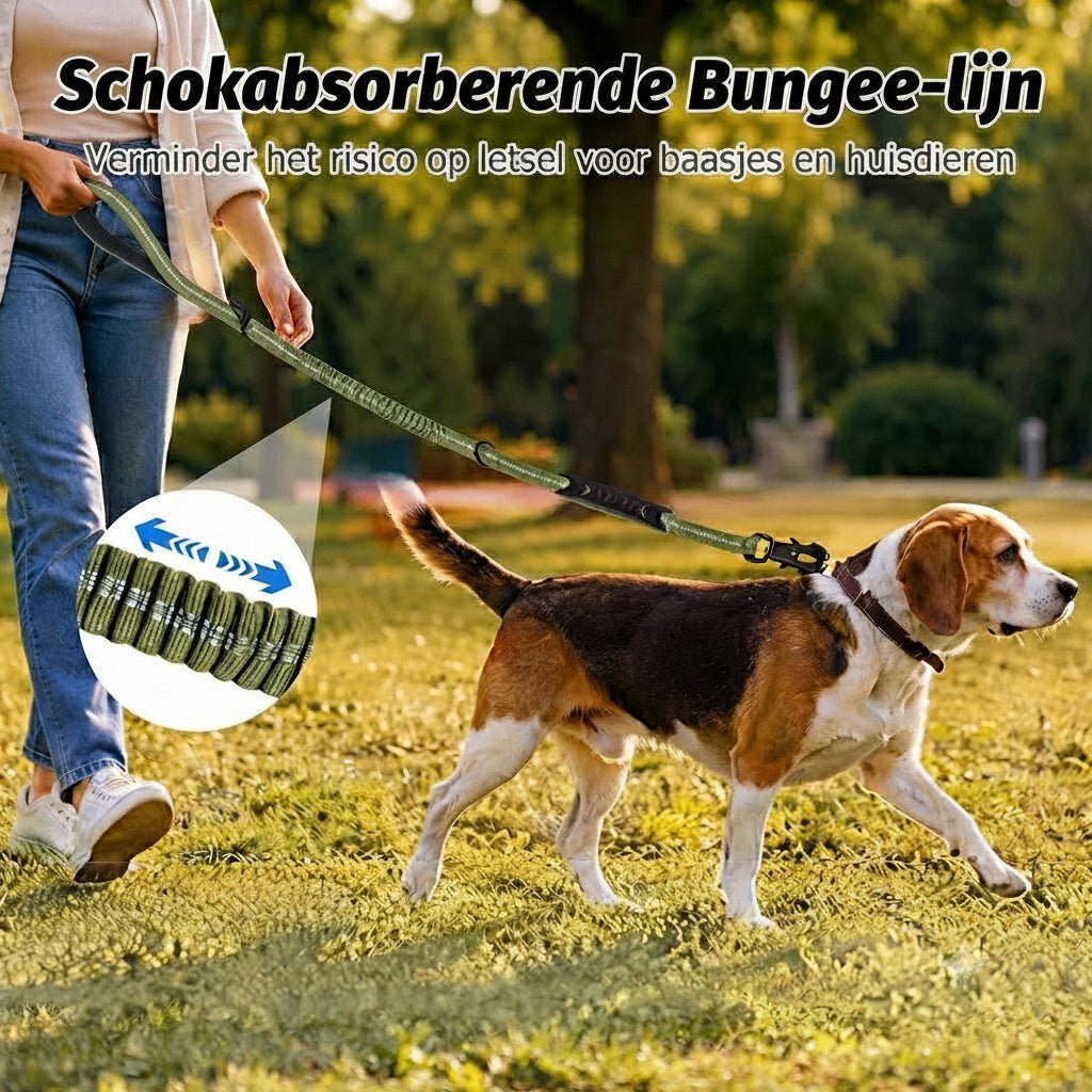 2-in-1 Hondenriem & Autogordel - Willow & Wags