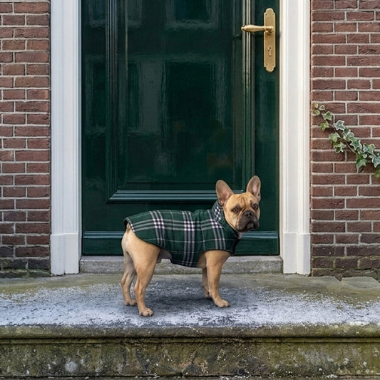 Omkeerbare Warme Hondenjas met Ruitpatroon