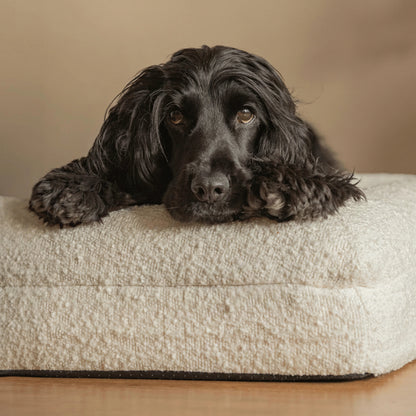 Luxury Bouclé Orthopedic Dog Bed