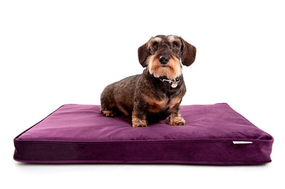 Willow & Wags™ Luxe Orthopedisch Hondenkussen