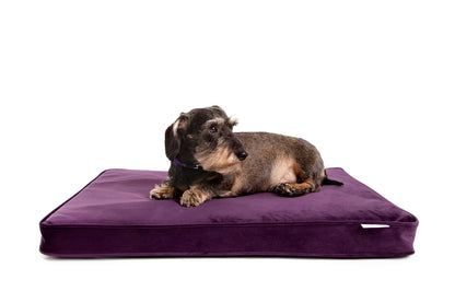 Willow & Wags™ Luxe Orthopedisch Hondenkussen