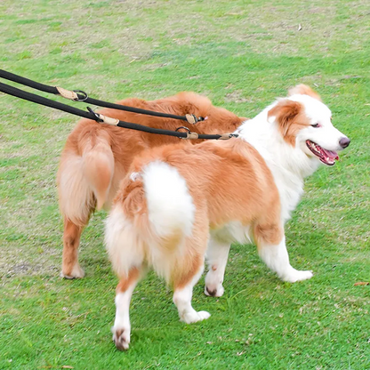 Willow & Wags™ Multifunctionele Dubbele Hondenriem