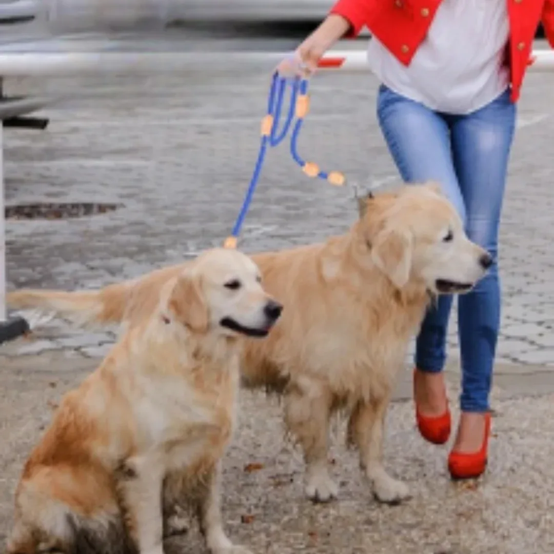 Willow & Wags™ Multifunctionele Dubbele Hondenriem