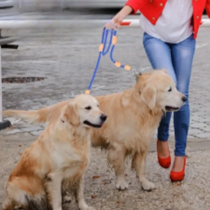 Willow & Wags™ Multifunctionele Dubbele Hondenriem