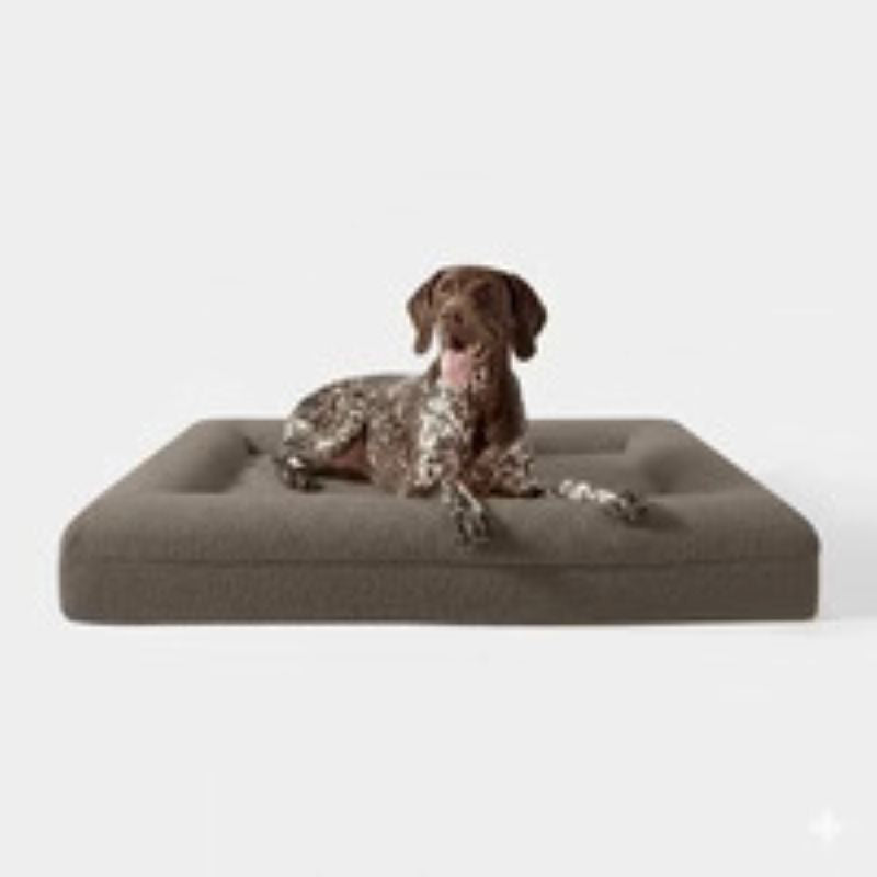 Luxury Bouclé Orthopedic Dog Bed