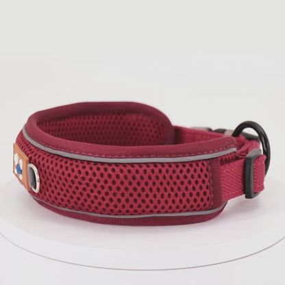 Reflecterende Hondenhalsband met Zachte Mesh Voering