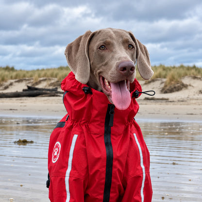 Waterdicht Honden Regenpak met Volledige Bescherming