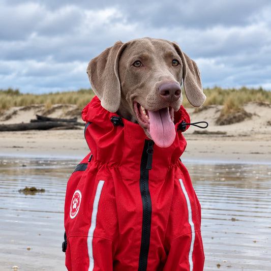 Waterdicht Honden Regenpak met Volledige Bescherming